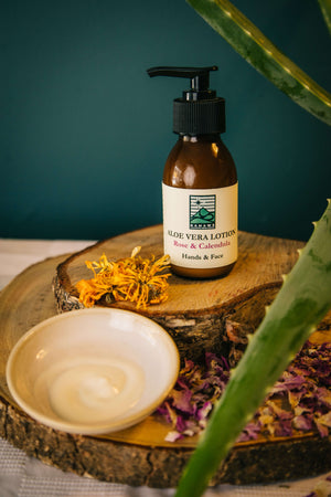 Aloe Vera Lotion with Rose Water & Calendula