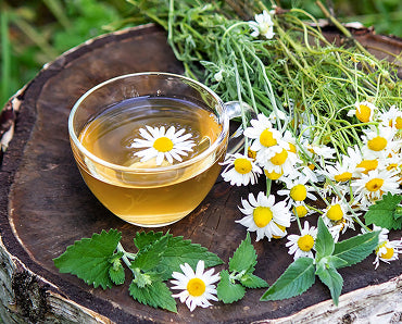 Chamomile Extract