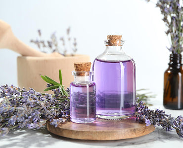 Lavender Extract